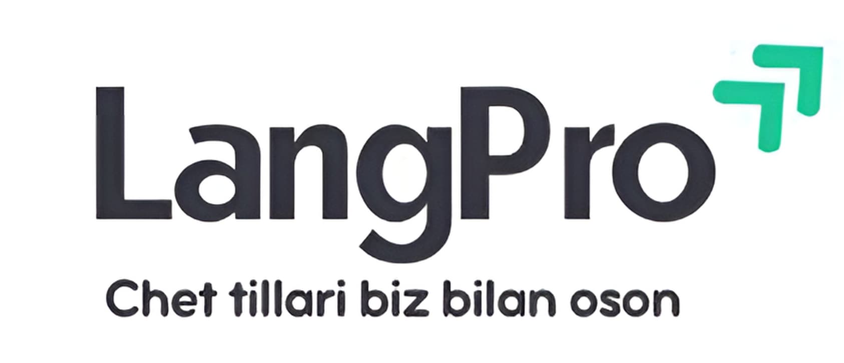 LangPro logo